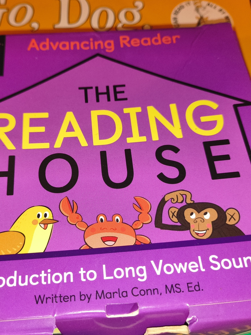 The Reading House - Advancing Reader (Purple)